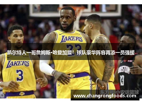 凯尔特人一哥詹姆斯·哈登加盟！球队豪华阵容再添一员强援